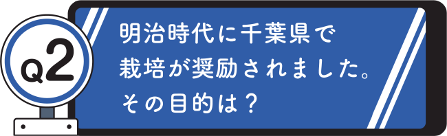 Q2. 明治時代に千葉県で栽培が奨励されました。その目的は？