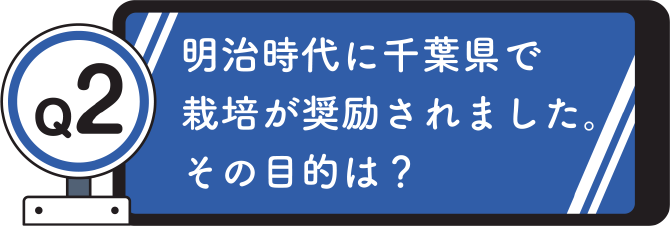 Q2. 明治時代に千葉県で栽培が奨励されました。その目的は？