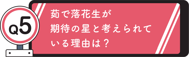 Q5. 茹で落花生が期待の星と考えられている理由は？