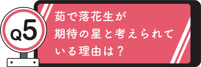 Q5. 茹で落花生が期待の星と考えられている理由は？