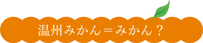 温州みかん＝みかん？