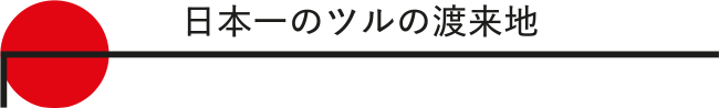 日本一のツルの渡来地