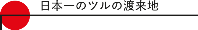 日本一のツルの渡来地