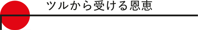 ツルから受ける恩恵